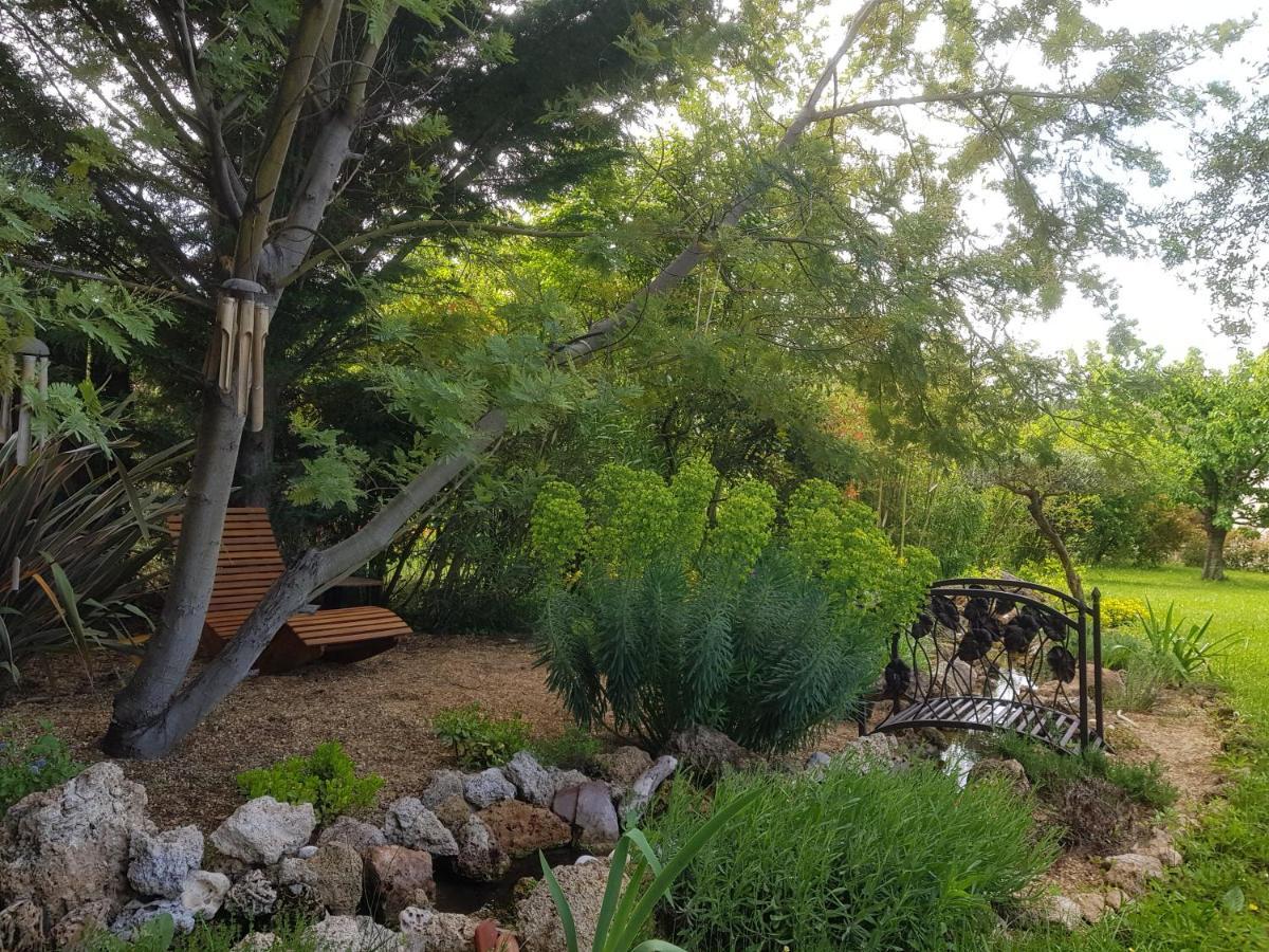 Maison Mimosa Salernes Ngoại thất bức ảnh